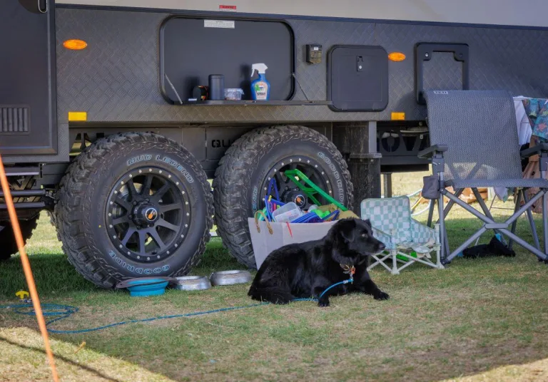 Dog friendly year-round