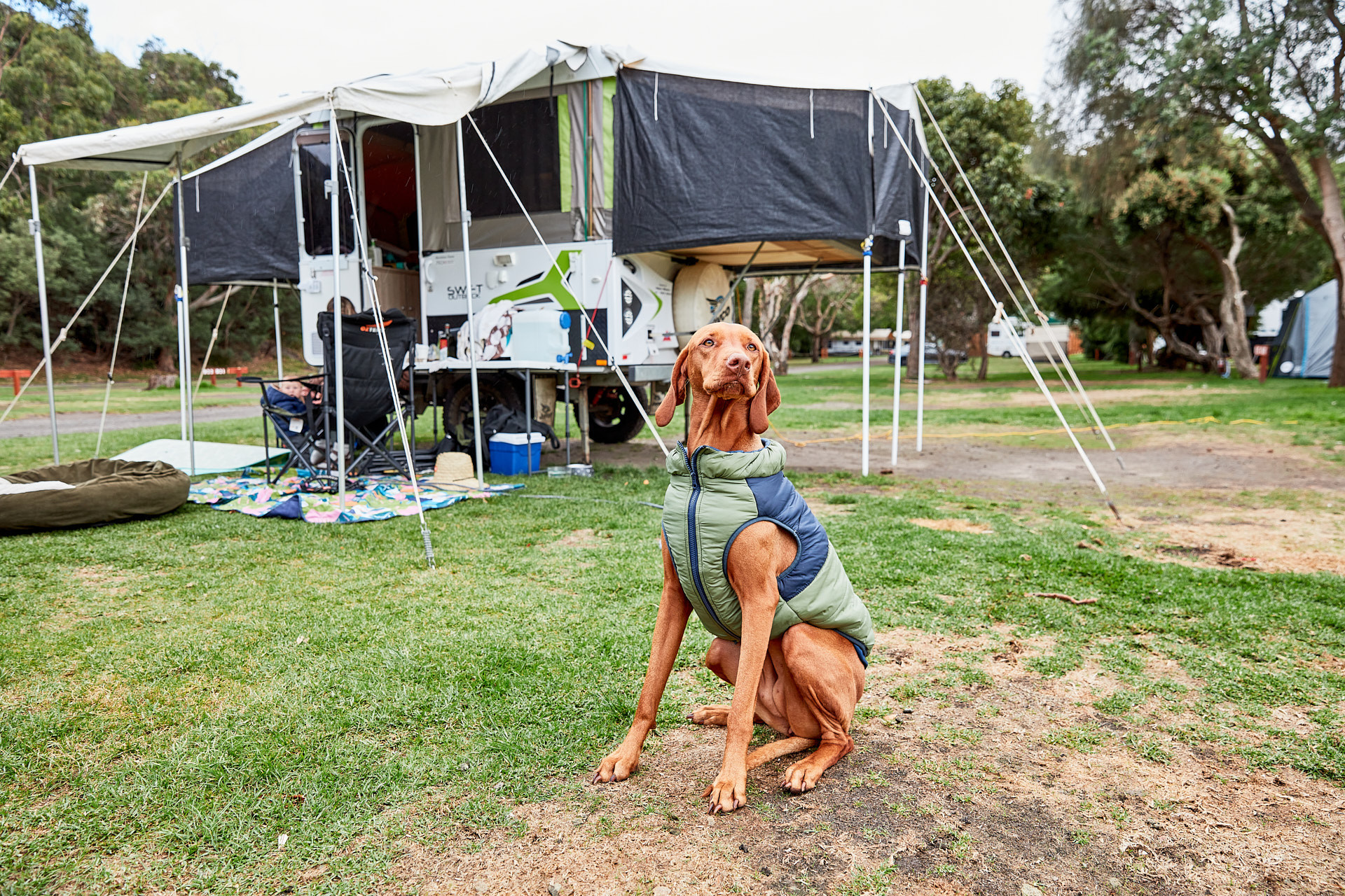 Kennett River Family Caravan Park