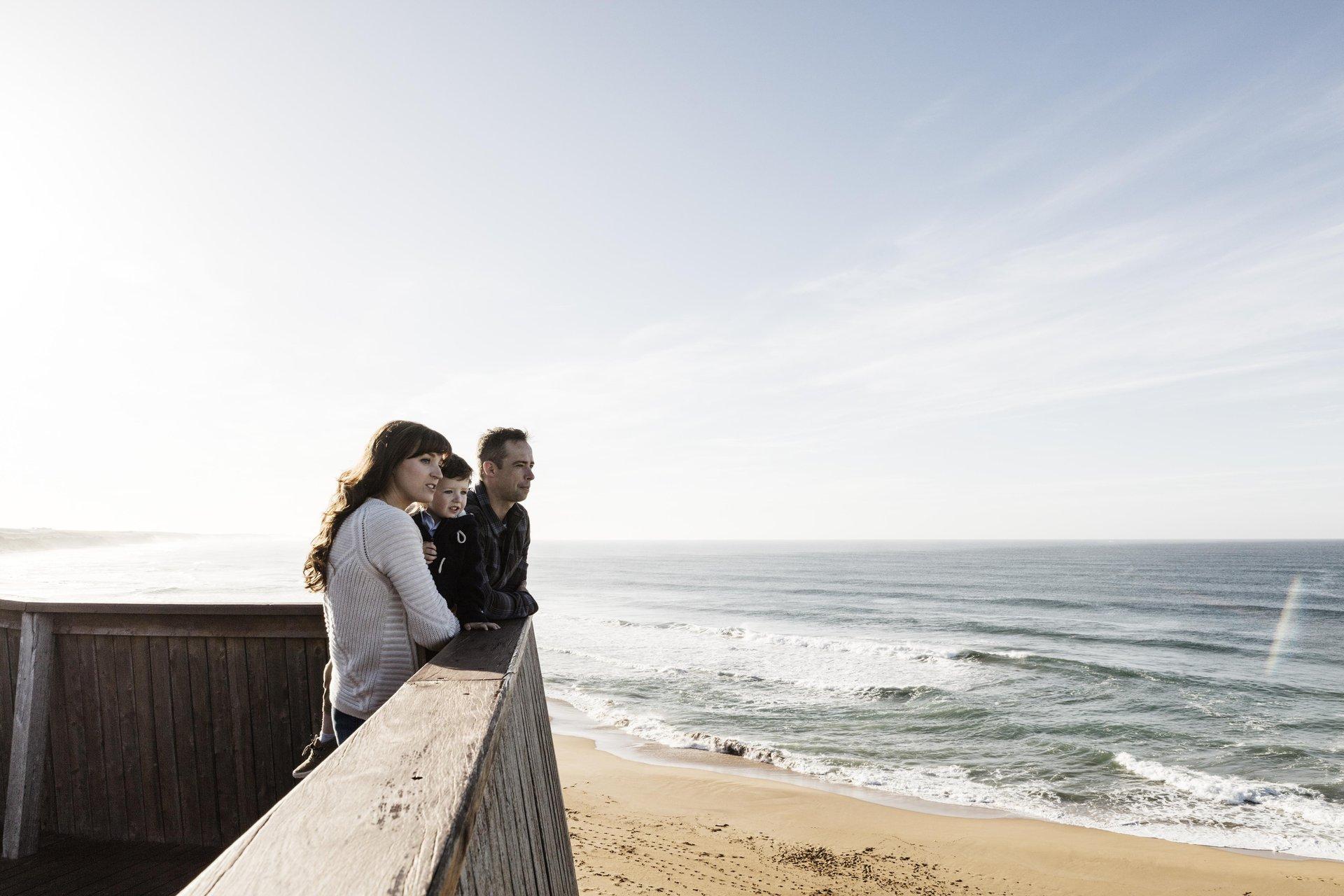 Slow down for some whale watching