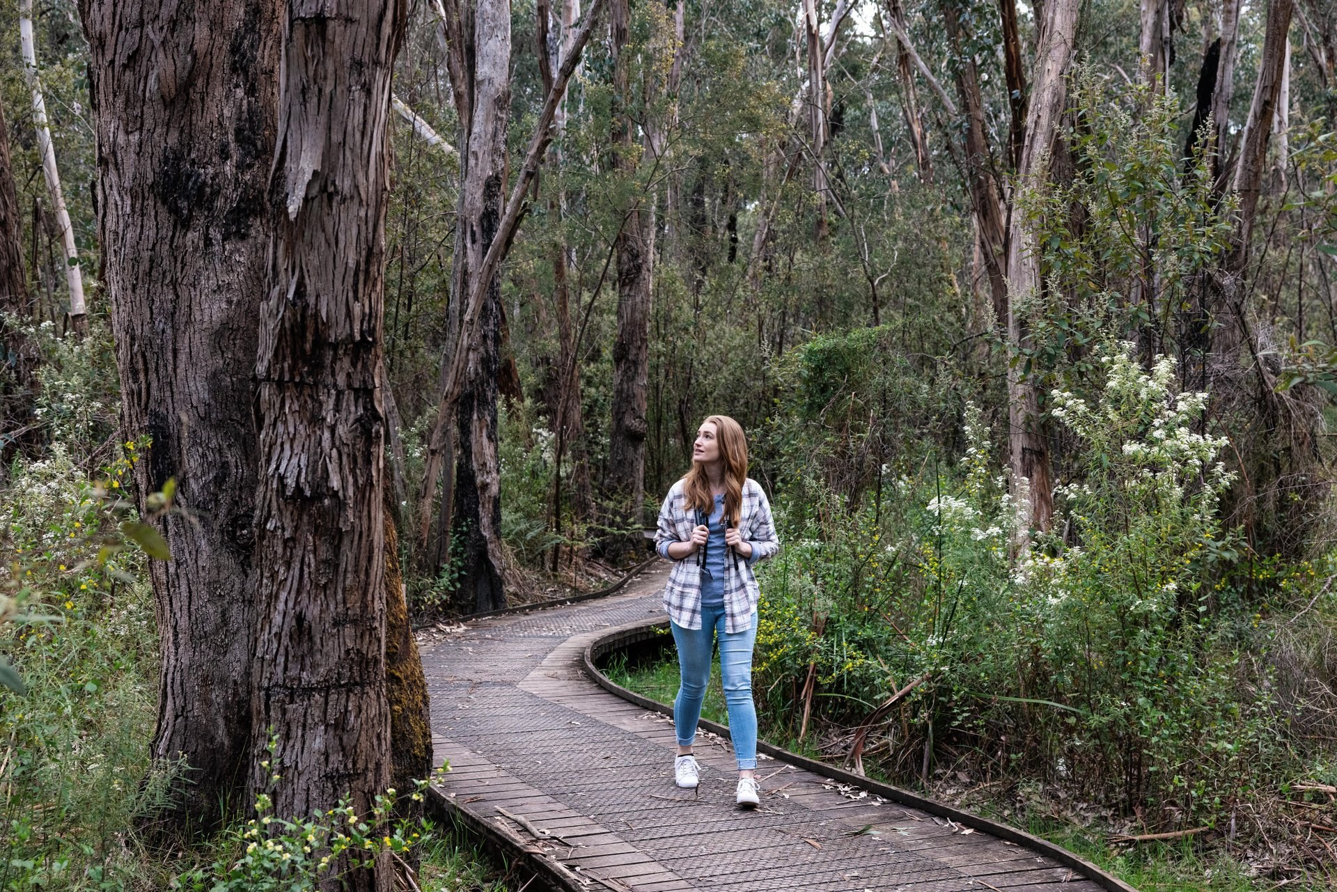 Make the journey to Currawong Falls
