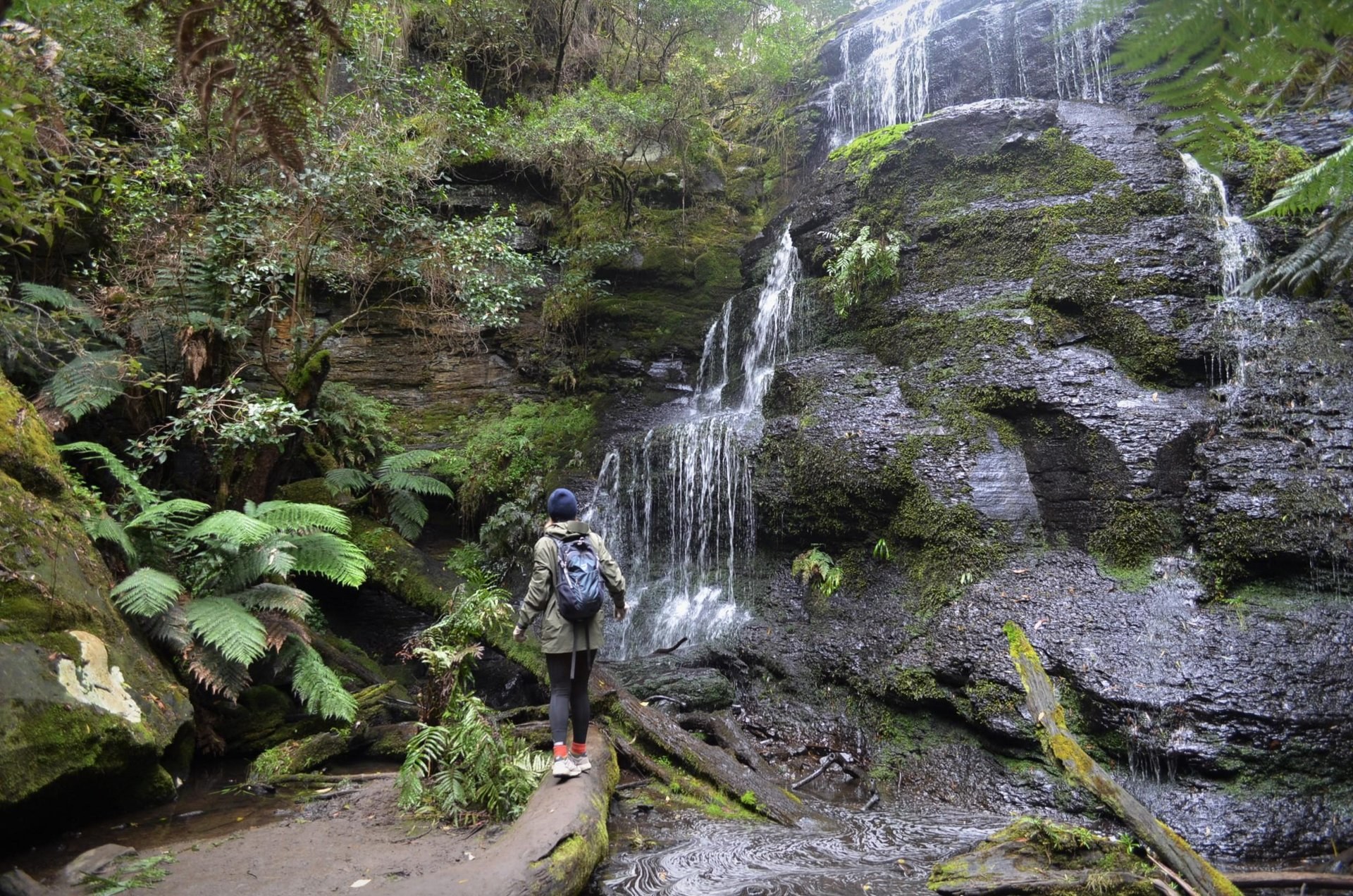 The lush oasis of Henderson Falls
