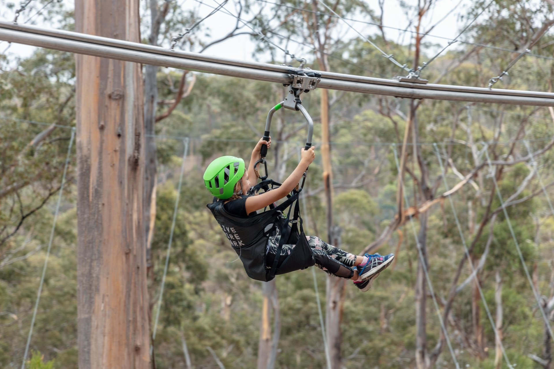 Thrilling adventure awaits at Live Wire Park