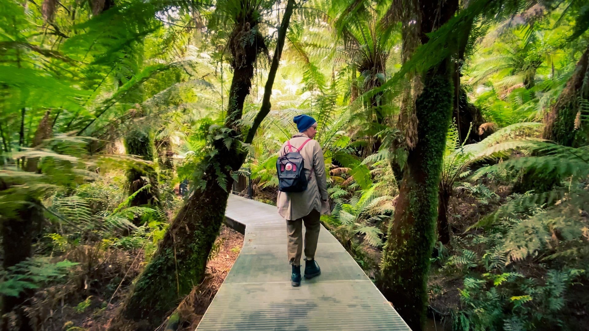 Maits Rest, Otways, Great Ocean Road