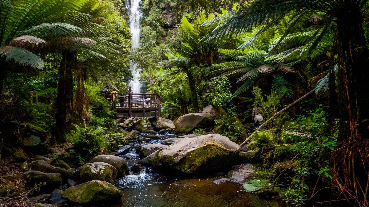 Spring is a great time to visit Erskine Falls