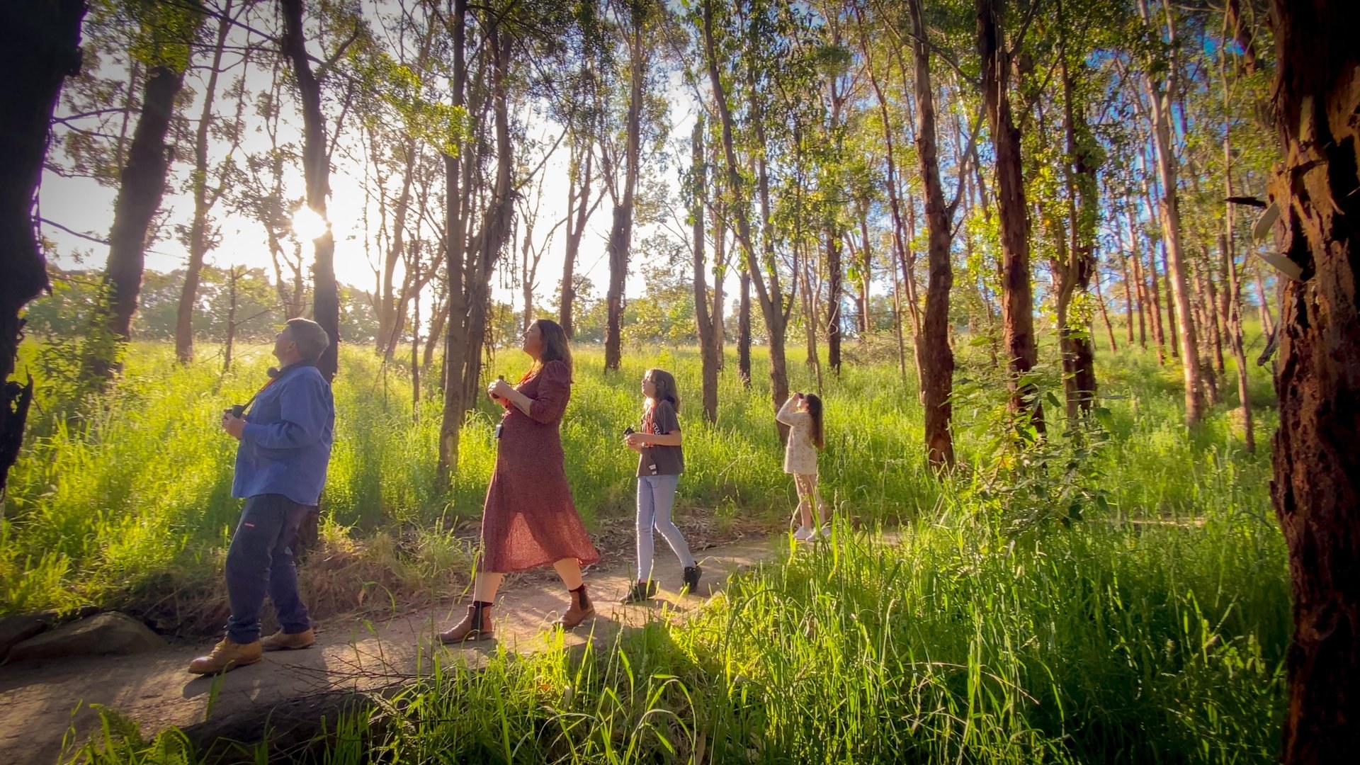 Immerse yourself with nature at Wildlife Wonders