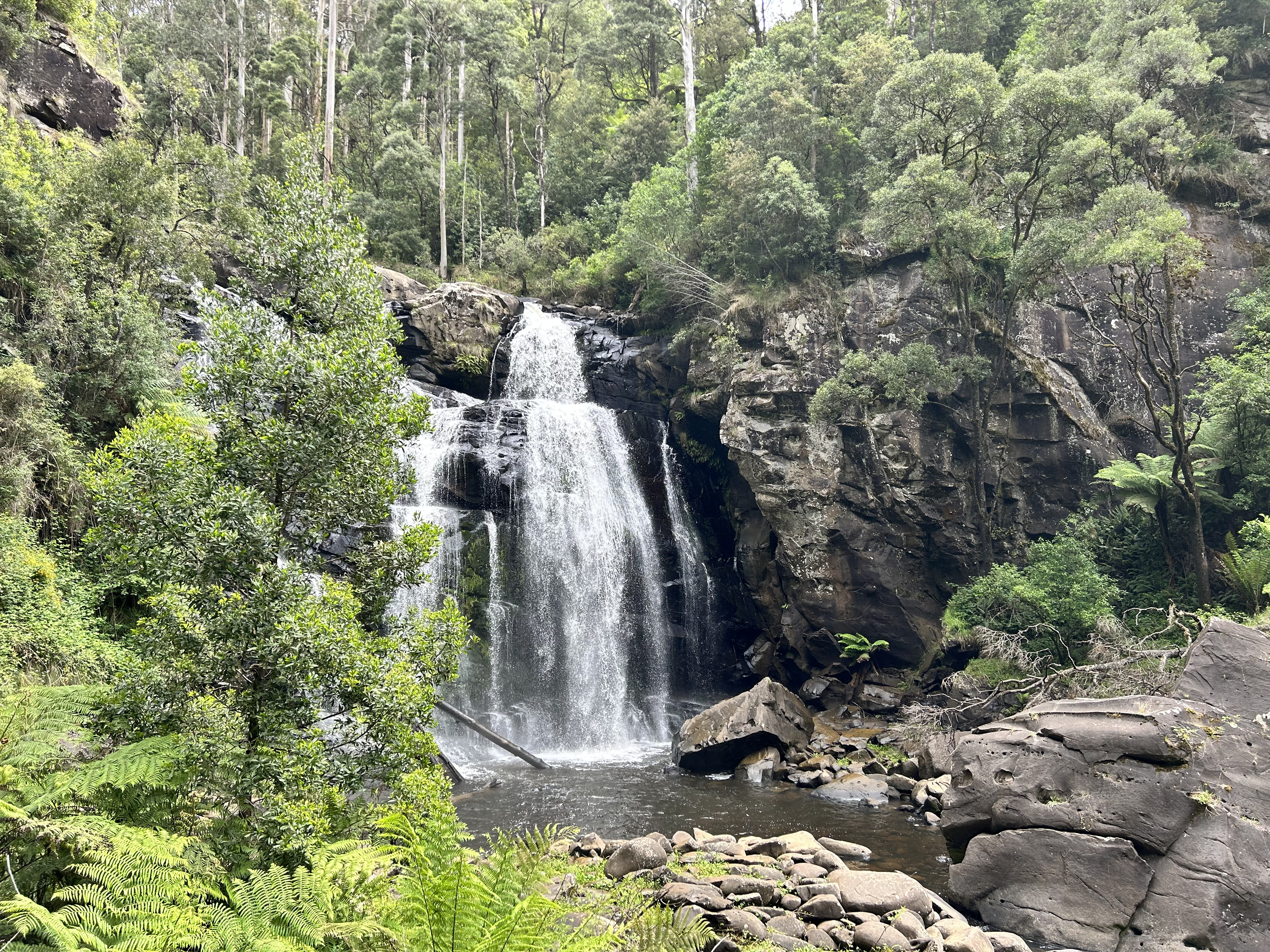 Stevensons Falls are worth the visit in spring