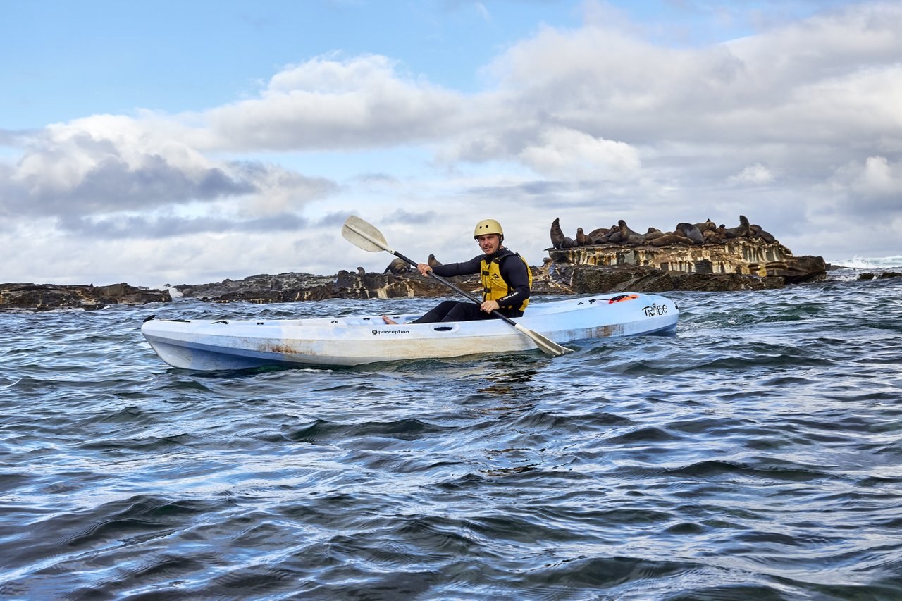 Kayak with the seals at Marengo Reefs Marine Sanctuary, Marengo, Great Ocean Road