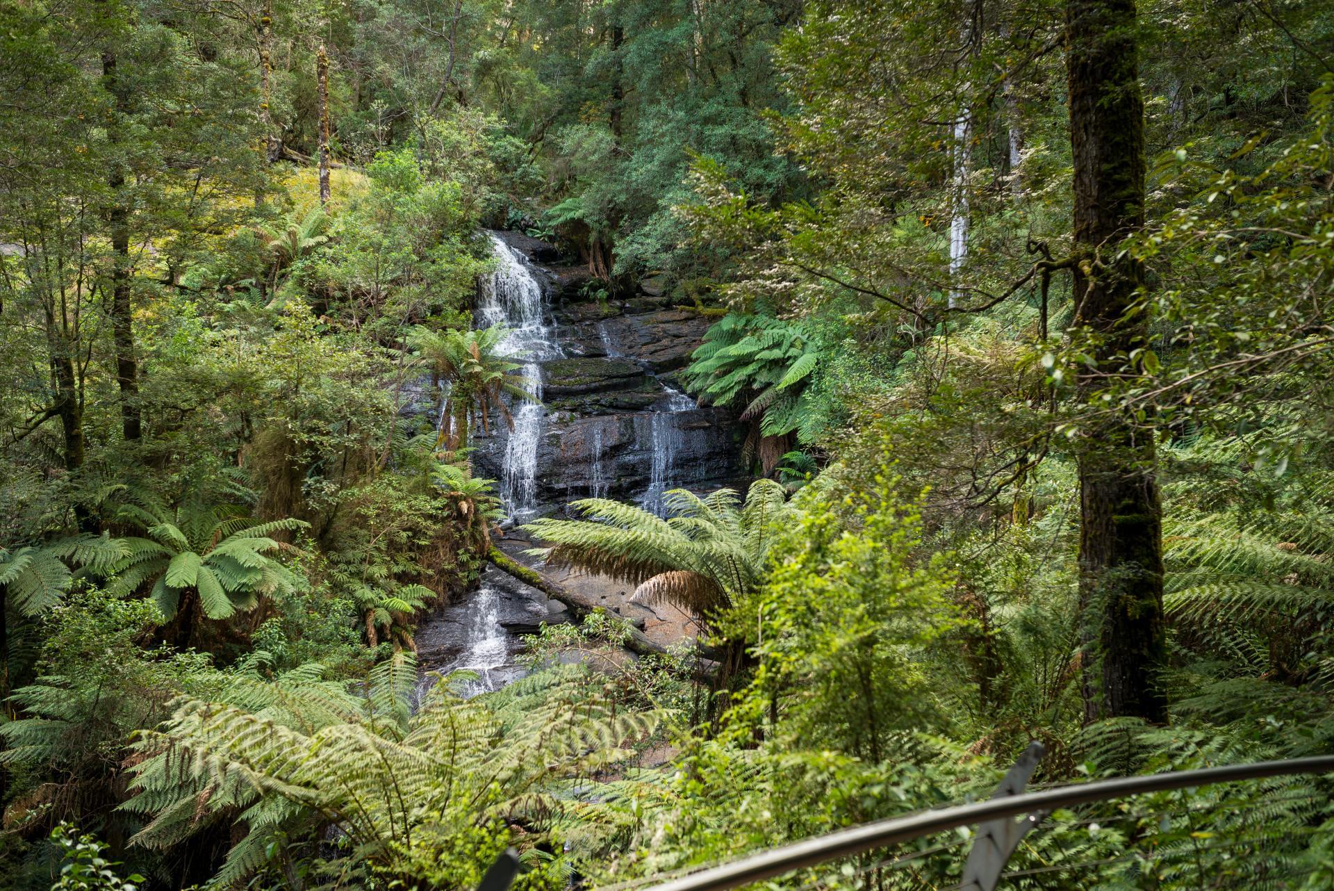 Three cascades are better than one at Triplet Falls