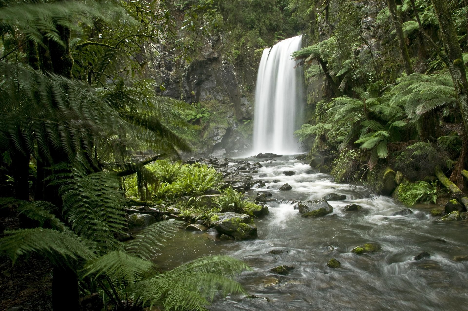 Stunning Hopetoun Falls, Great Otway National Park, Great Ocean Road