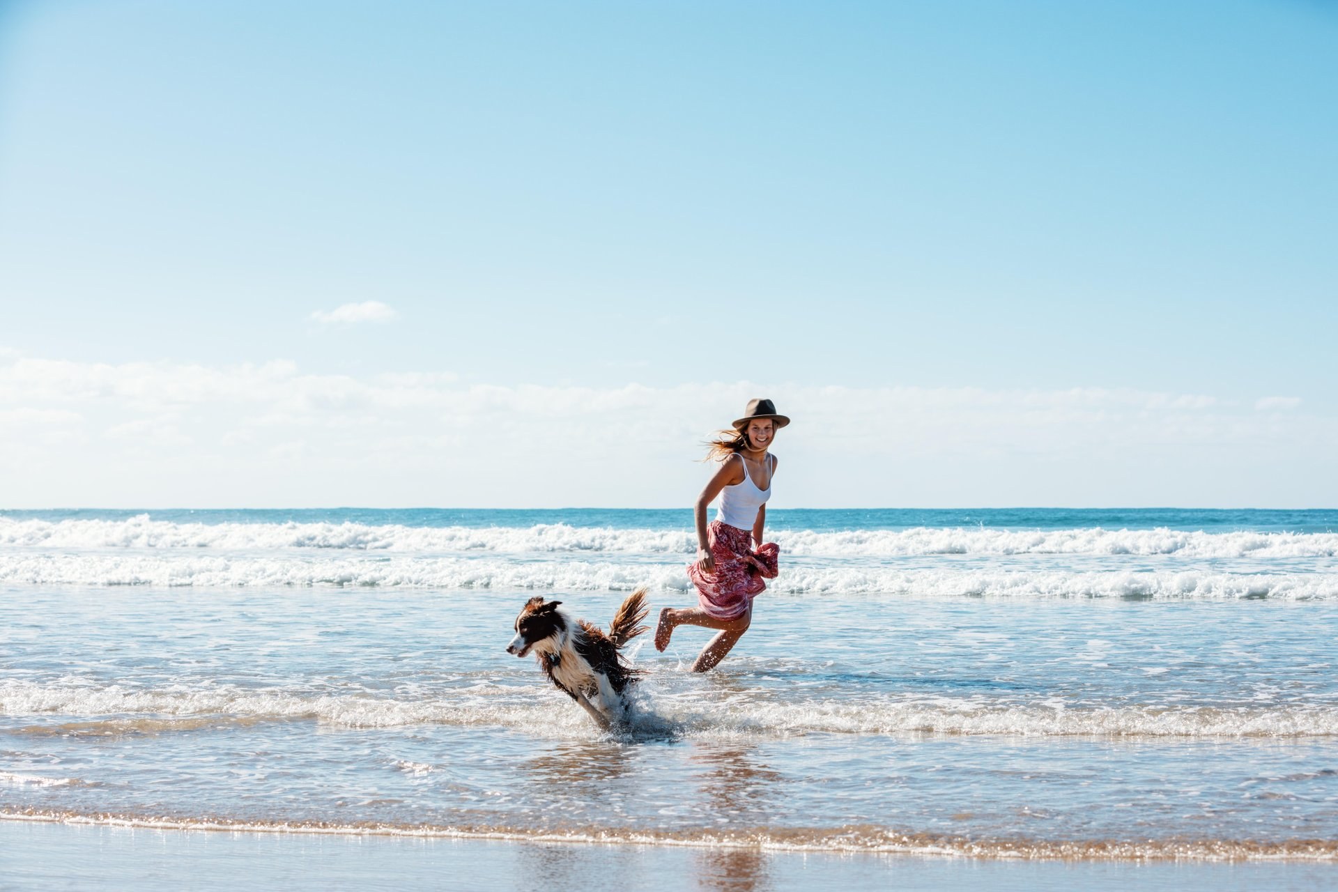 Tail-wagging dog-friendly beaches