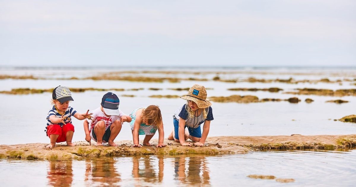 Great Ocean Road Parks | Dog Friendly Cabins (seasonally)