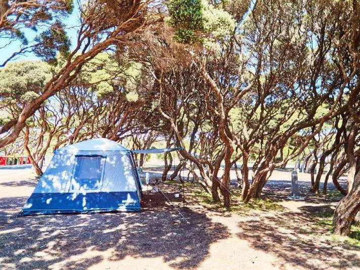Bush camping sites