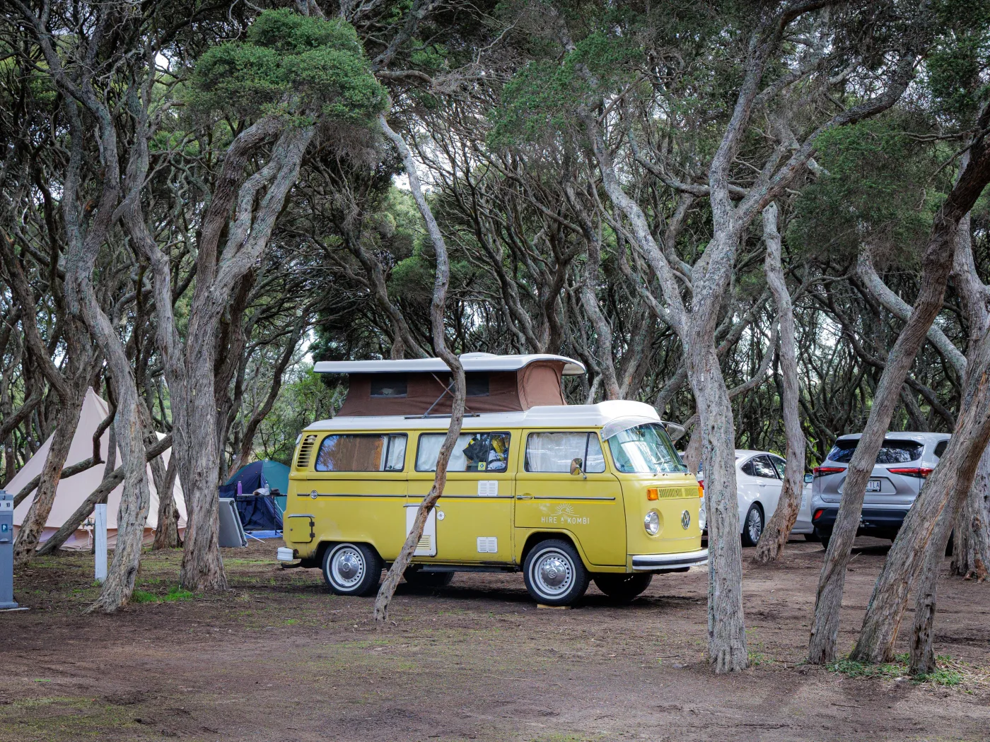 Anglesea