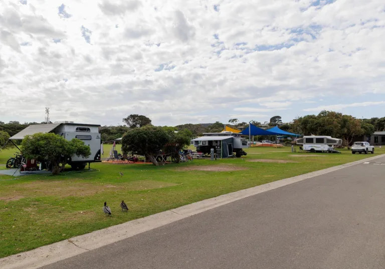Tourist Powered SItes