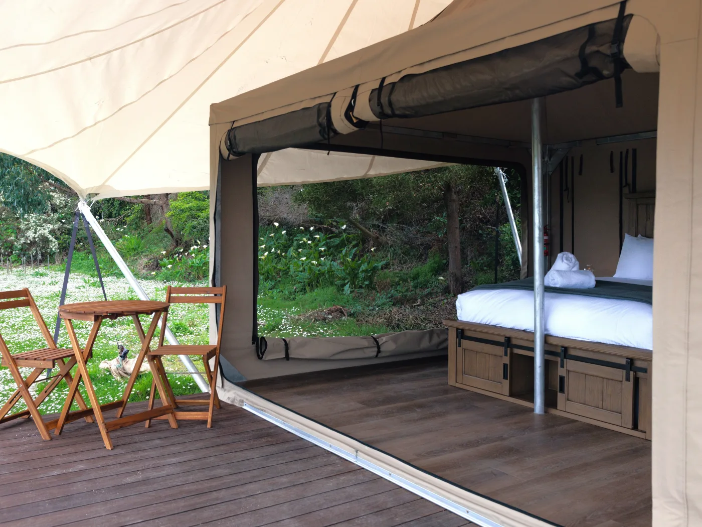 Apollo Bay Rec Reserve Great Ocean Road 1 K1 A3718