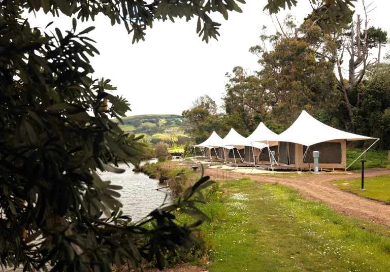 Apollo Bay Rec Reserve Great Ocean Road 1 K1 A3707