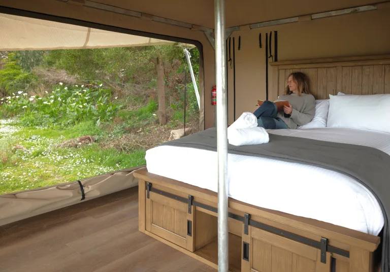 Apollo Bay Rec Reserve Great Ocean Road 1 K1 A3746