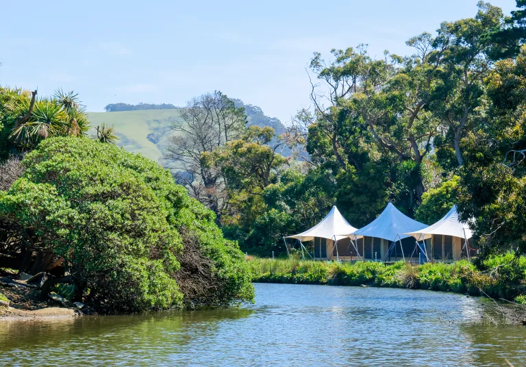 Glamping Apollo Bay, Apollo Bay Recreation Reserve, Great Ocean Road