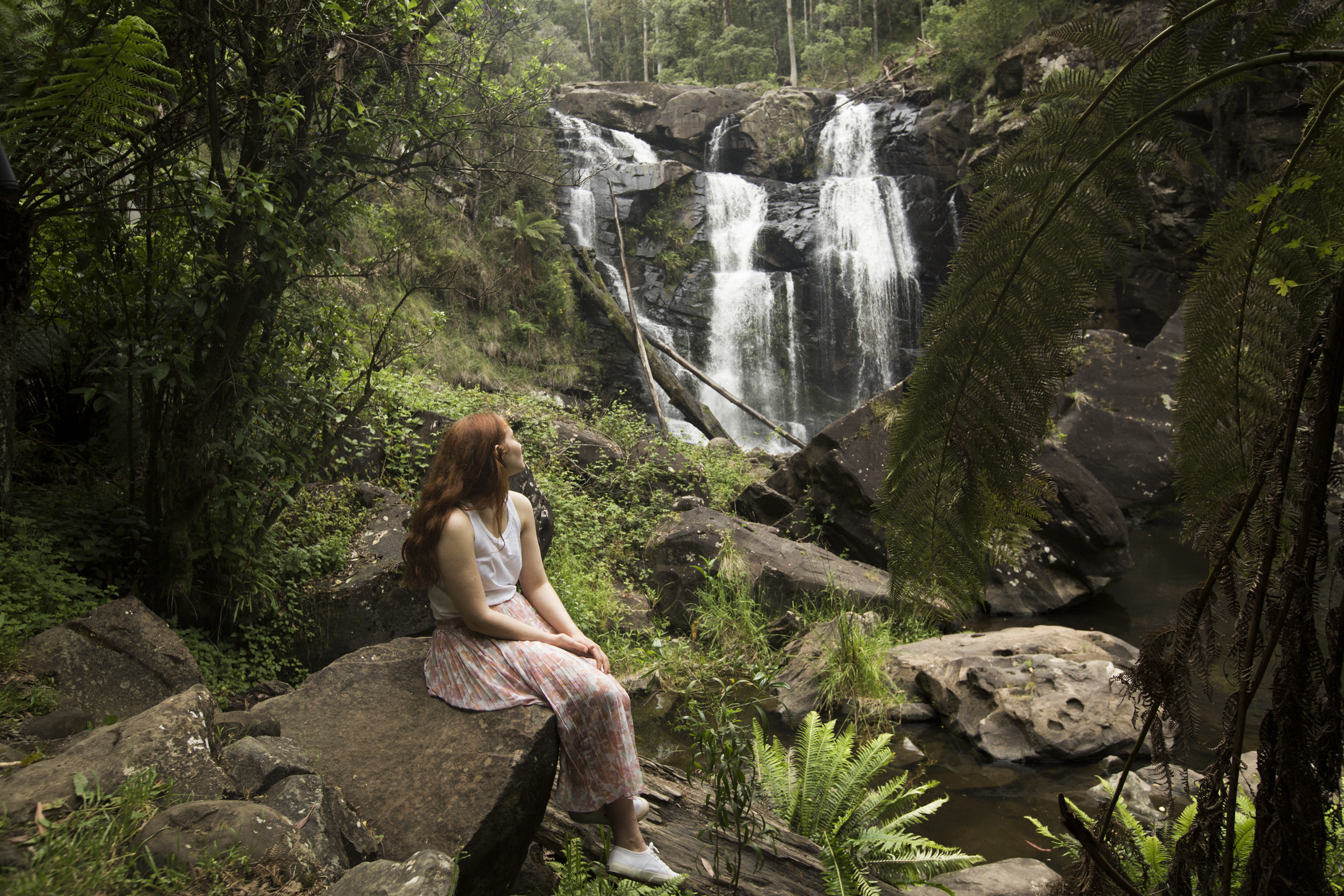 The beauty of the Otways