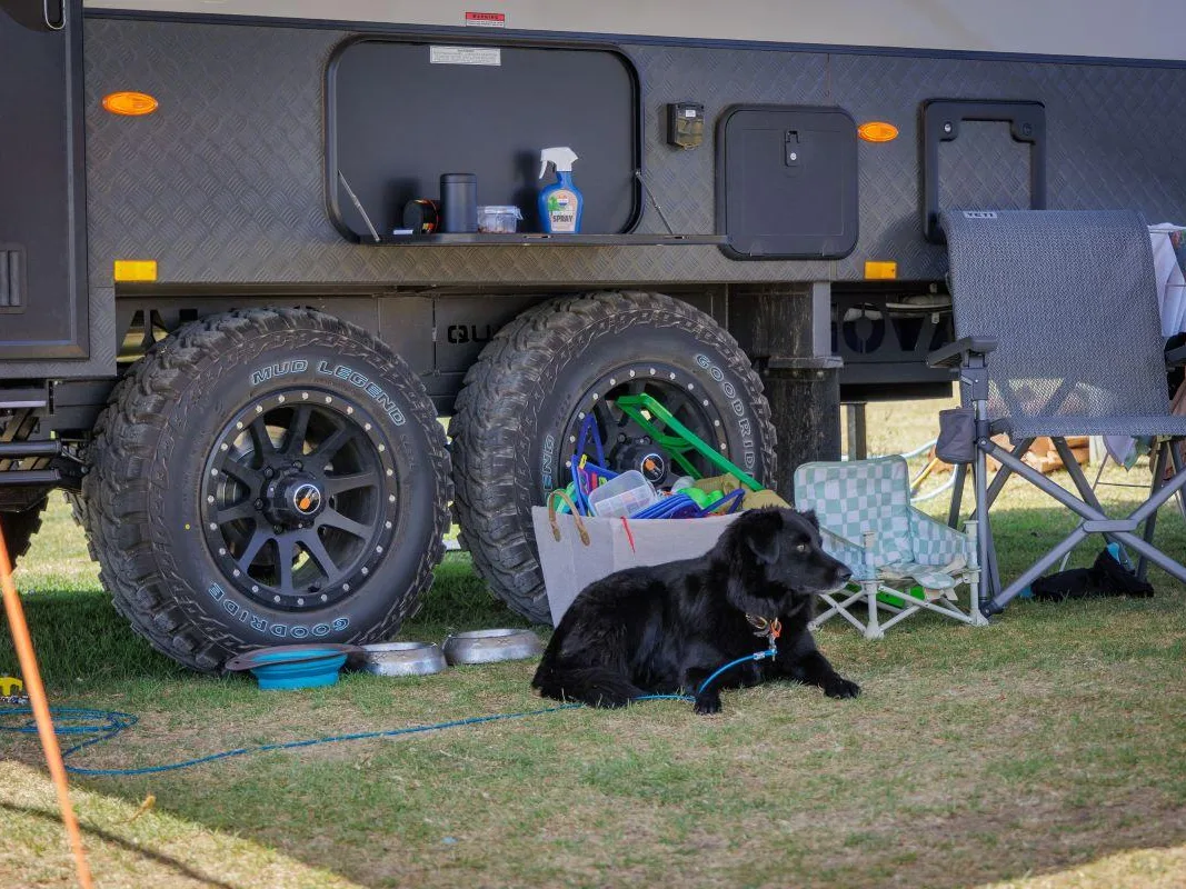 Dog friendly year-round