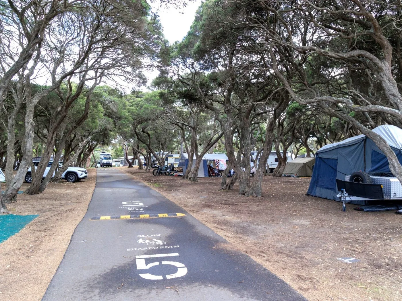 Avenue Sites