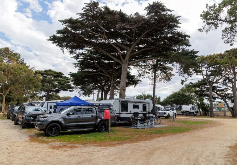 Pines Sites