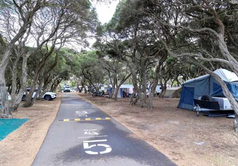 Avenue Sites